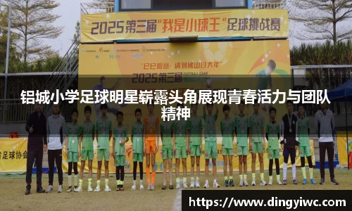 BB贝博艾弗森体育